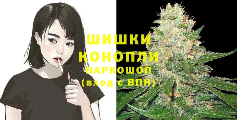 продажа наркотиков  Болохово  Каннабис White Widow 